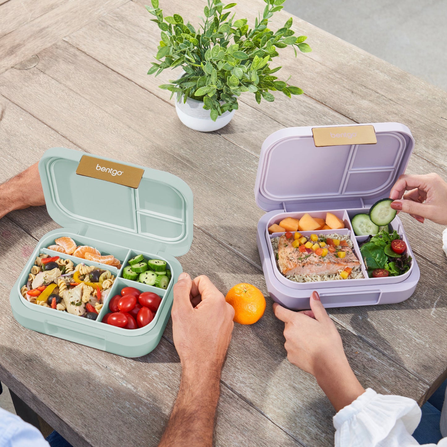 bentgo-modern-lunch-box-2-pack-y7 COSTCOBMCPRODUCTIMAGE_2.jpg
